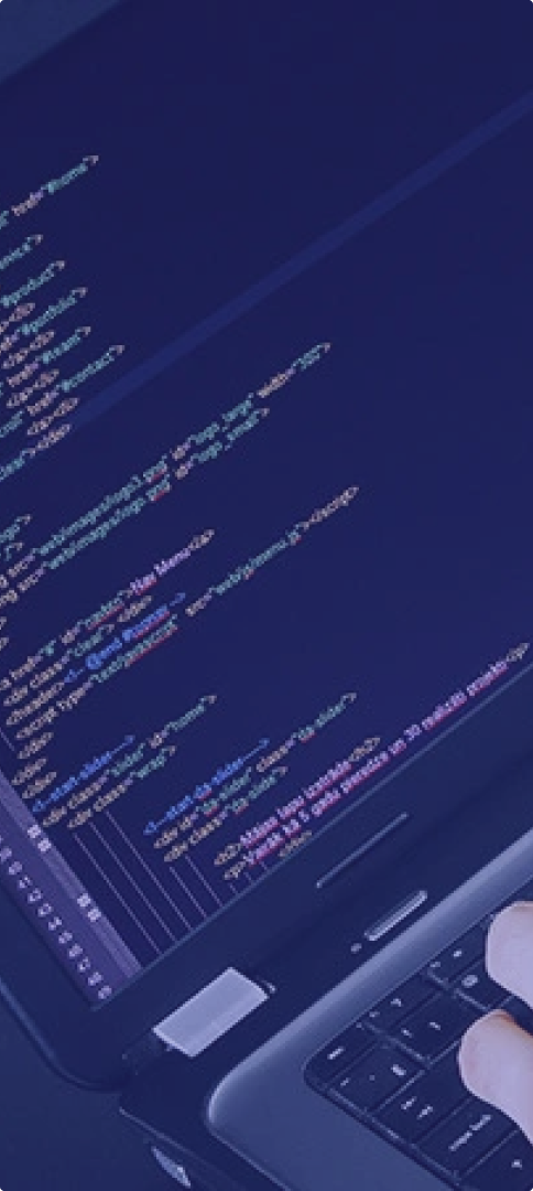 专业的行业经验